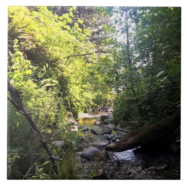 Azulejo Miner Creek, Samuel H. Boardman, OR (Frente)