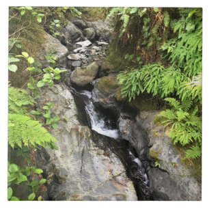 Azulejo Miner Creek, Samuel H. Boardman, OR