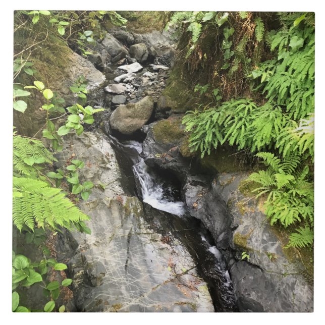 Azulejo Miner Creek, Samuel H. Boardman, OR (Frente)