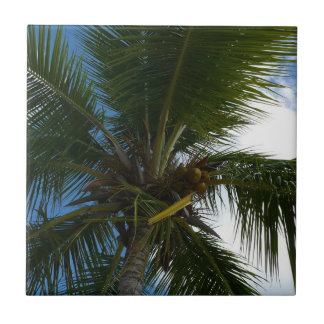 Azulejo Mirando hacia la naturaleza tropical de las palmer