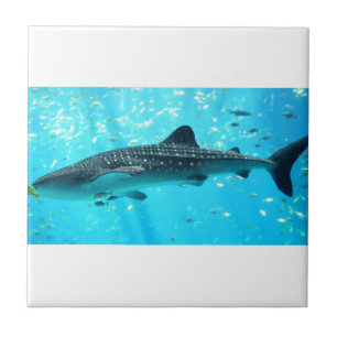 Azulejo Moda de agua marina Elegante Guay Blue Whale Shark