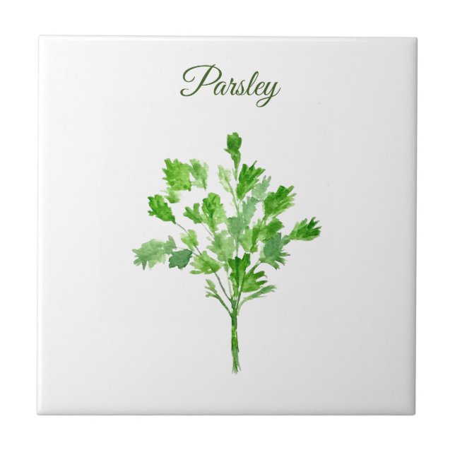 Azulejo Moda verde culinaria Parsley Herb Greenery Kitchen (Frente)