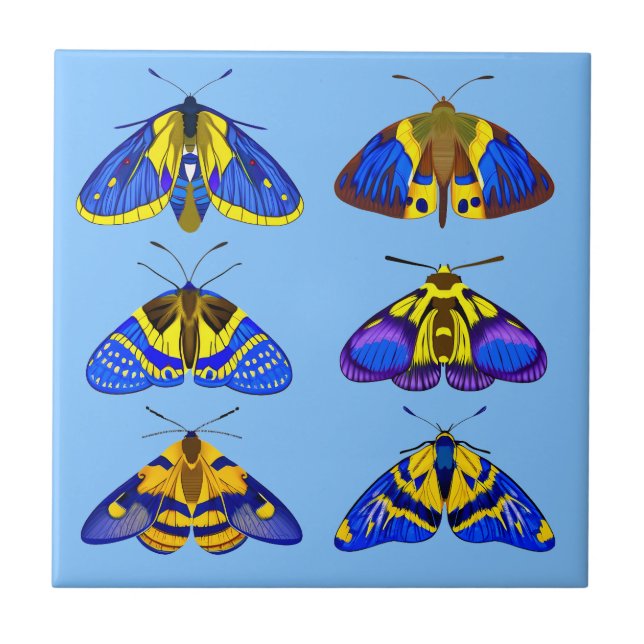 Azulejo Modos en azul, amarillo dorado y marrón pequeños (Frente)