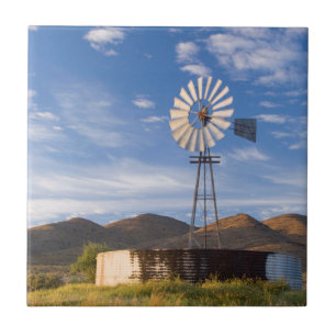 Azulejo Molino de viento y presa en el Karoo al amanecer