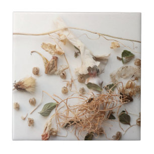 Azulejo Momento de fuga mosaico cerámico