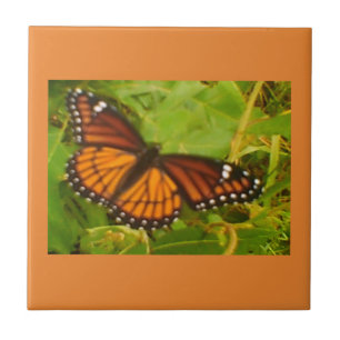 Azulejo Monarca naranja