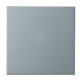 Azulejo Monocromo gris moderno