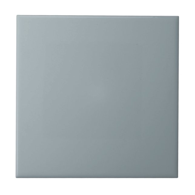 Azulejo Monocromo gris moderno (Frente)