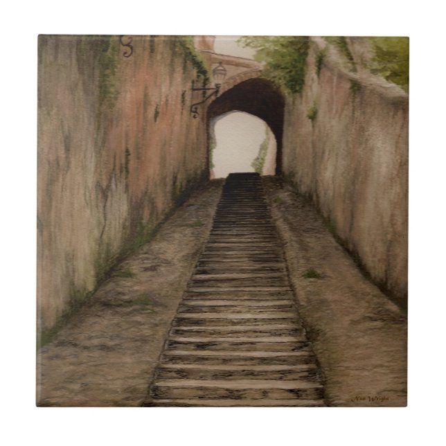 Azulejo Montaña de cerámica italiana Walkway (Frente)