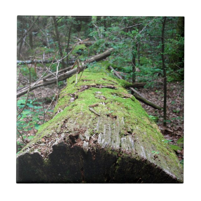 Azulejo Montañas ahumadas (Frente)