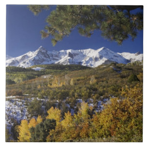 Azulejo Montañas de San Juan y árboles ápicos de falacia