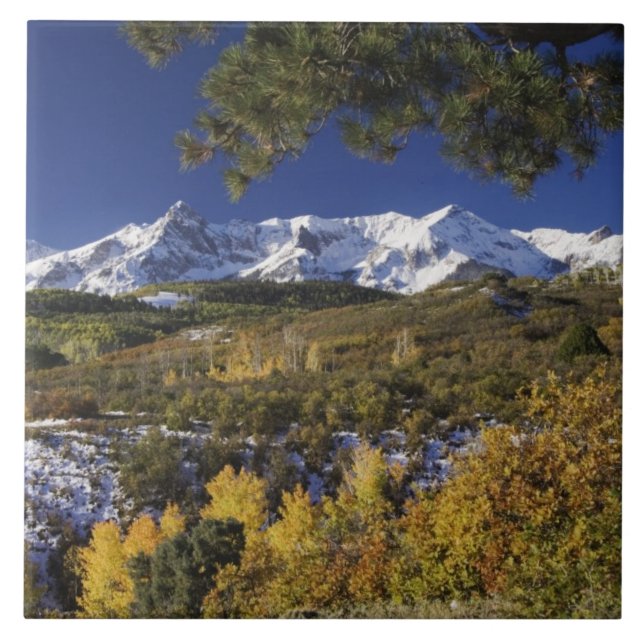 Azulejo Montañas de San Juan y árboles ápicos de falacia (Frente)