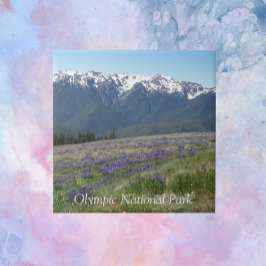 Azulejo Montañas y praderas del Parque Nacional Olímpico