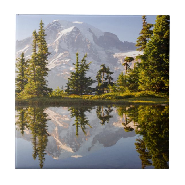 Azulejo Monte Rainier reflejado en un tarn cerca de Plumme (Frente)