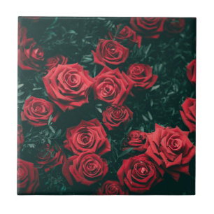 Azulejo Montón de rosas rojas