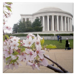 Azulejo Monumento a Thomas Jefferson con flor de cerezo