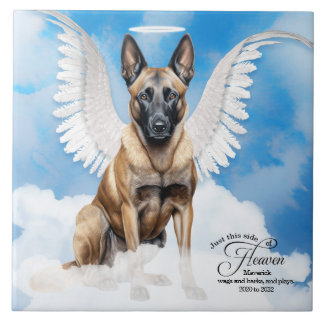 Azulejo Monumento al Mascota personalizado malinés