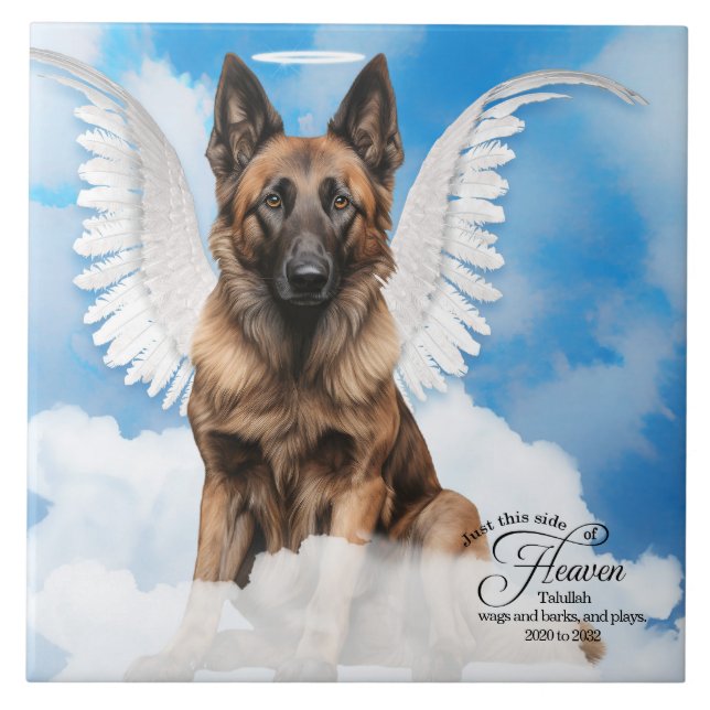 Azulejo Monumento al Mascota personalizado Tervuren Angel  (Frente)