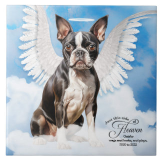 Azulejo Monumento conmemorativo al Mascota del Angel de Pe