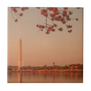 Azulejo Monumento de Washington Sakura en la puesta del
