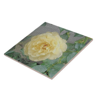 AZULEJO MOONLIGHT YELLOW ROSE/PHOTOG.WITH EFECTOS DIGITALE