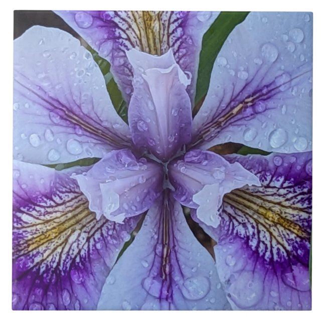 Azulejo Morado Iris Floral (Frente)
