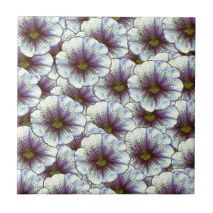 Azulejo Moreno Gloria Púrpura y Blanco