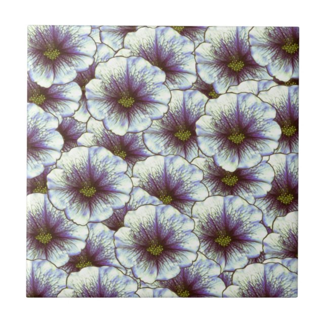 Azulejo Moreno Gloria Púrpura y Blanco (Frente)