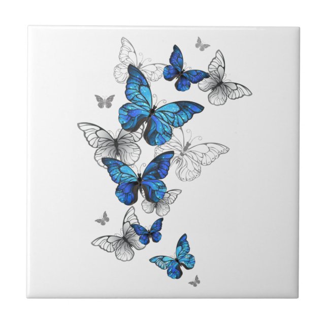 Azulejo Morfo de las mariposas voladoras azules (Frente)