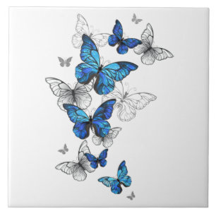 Azulejo Morfo de las mariposas voladoras azules