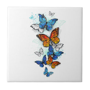 Azulejo Morfo y monarca de las mariposas voladoras