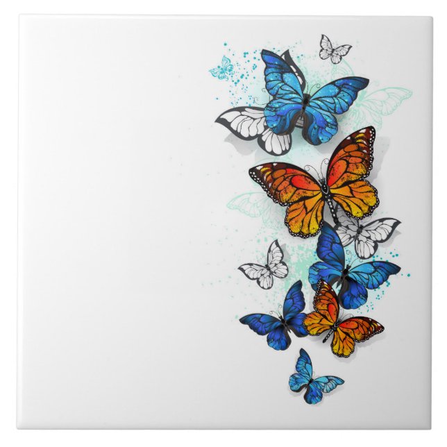 Azulejo Morfo y monarca de las mariposas voladoras (Frente)