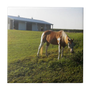 Azulejo Morning Graze