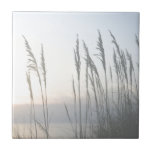 Azulejo Morning Whisper<br><div class="desc">Morning Whisper II de Sharon Chandler.</div>