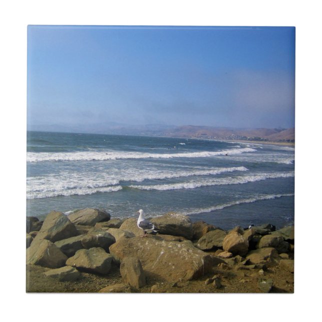 Azulejo Morro Bay, California (Frente)