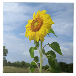 Azulejo Mosaico amarillo de girasol Nubes de Spiegeland