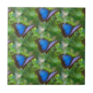 Azulejo Mosaico cerámico azul mariposa