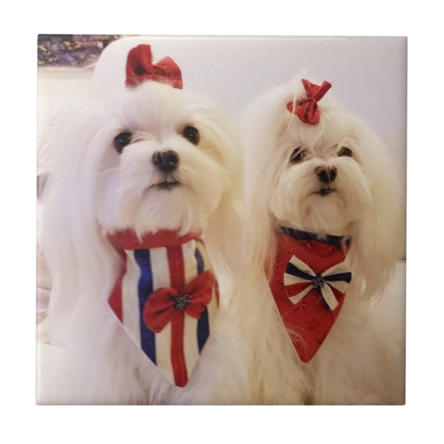 Azulejo Mosaico cerámico con maltés (Frente)