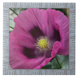 Azulejo Mosaico cerámico de 6"x 6" con amapola magenta aso