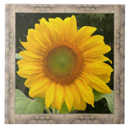 Azulejo Mosaico cerámico de 6"x 6" con girasol amarillo al