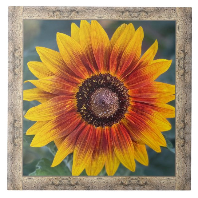 Azulejo Mosaico cerámico de 6"x 6" con girasol de Susie (Frente)