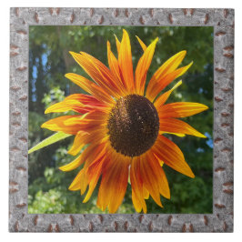 Azulejo Mosaico cerámico de 6"x 6" con girasol Naranja ale