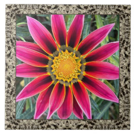 Azulejo Mosaico cerámico de 6"x 6" con Magenta Gazania