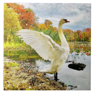 Azulejo Mosaico cerámico de cisne y caída