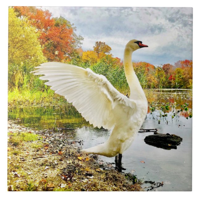Azulejo Mosaico cerámico de cisne y caída (Frente)