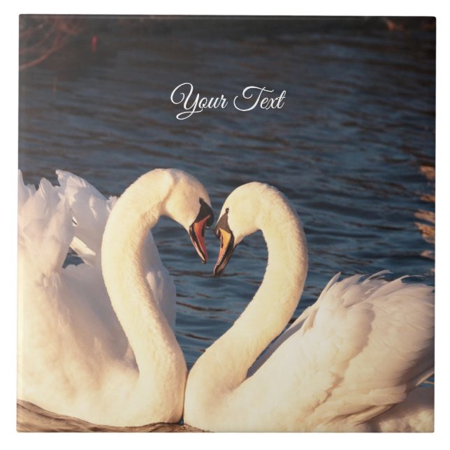 Azulejo Mosaico cerámico de cisnes blancos (Frente)