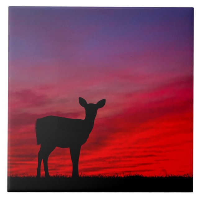 Azulejo Mosaico cerámico para bebés venados (Frente)