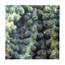 Azulejo Mosaico de alimentos