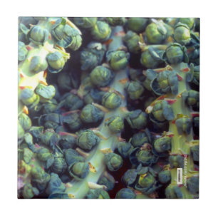 Azulejo Mosaico de alimentos