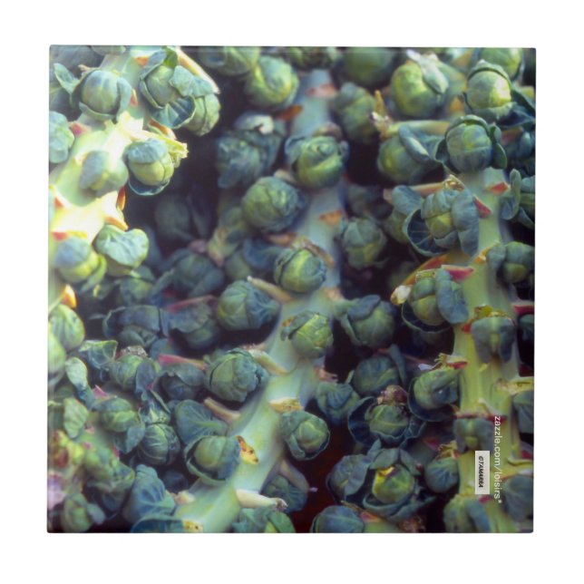 Azulejo Mosaico de alimentos (Frente)